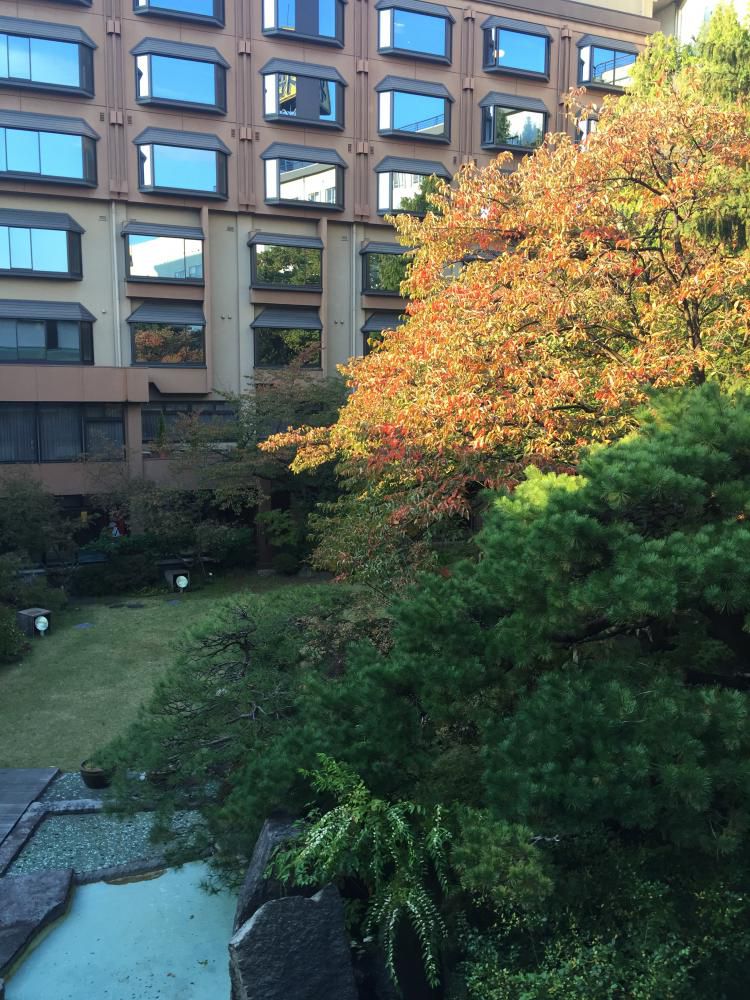 秋ですね