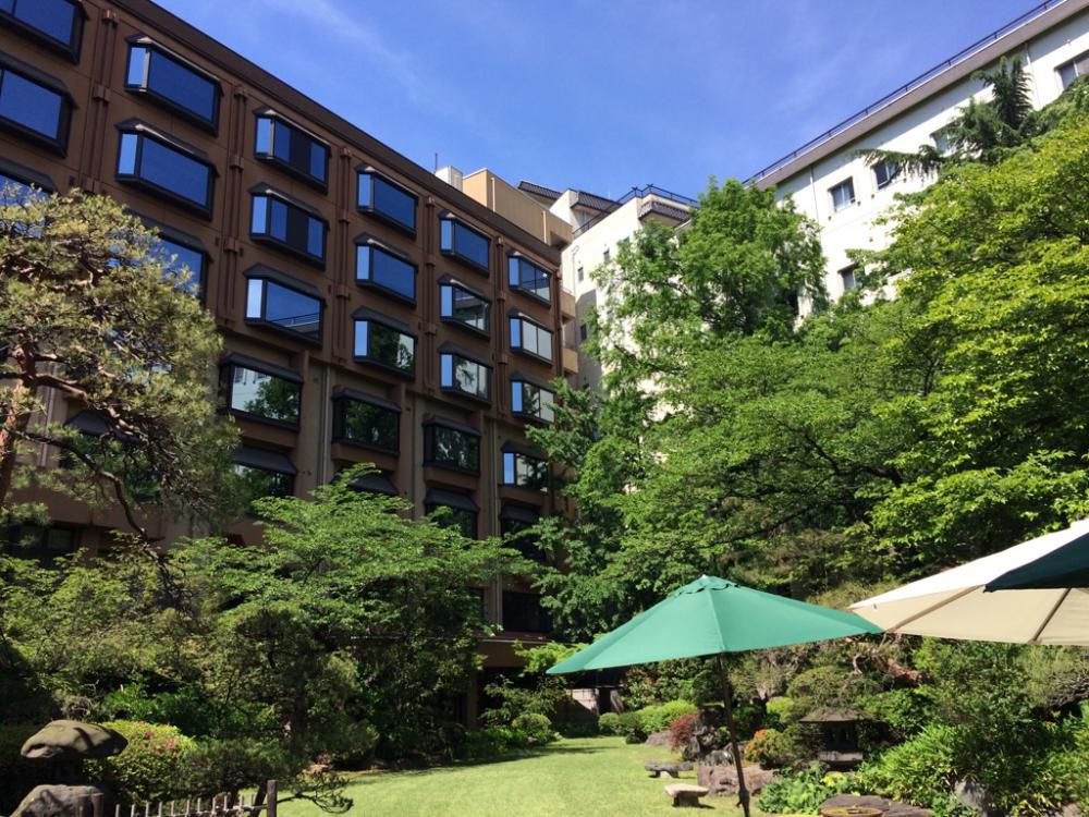 緑が綺麗な時期がやってきました…そして、いよいよ!?