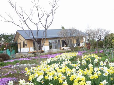【泉崎Ⅰさんの家】 庭の草花満開