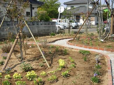庭造り(その５)・・少しずつ植え始めました。