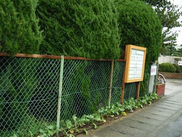 小学校の通学路の脇に・・・・