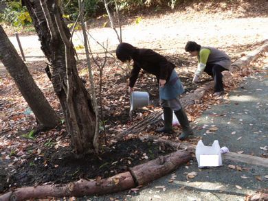 【天栄村･山小屋ドミノ】 ワンちゃん首輪にどうかしら