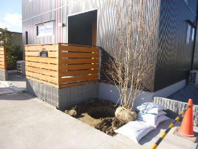 【郡山市久留米・ドミノK邸 】 今日は植栽工事