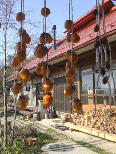 里山日記