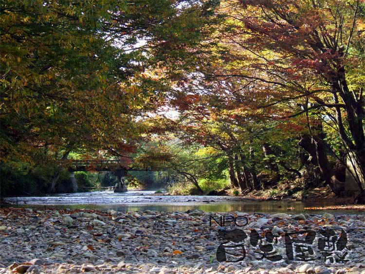 樽川技建便り「暮らしをちょっと応援No.181」  ｜11/18 ミュージカル｜11/22-23 銀河祭り｜12/6・12/20 講演会