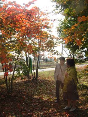 【泉崎Sさんの家】 庭木選びで紅葉を堪能