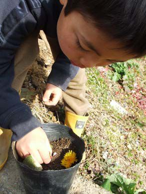 里山日記･･･庭で見つけた小さな春を形に