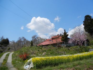 里山日記・・・放射能と畑