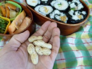 里山日記・・・節分次の日のお弁当