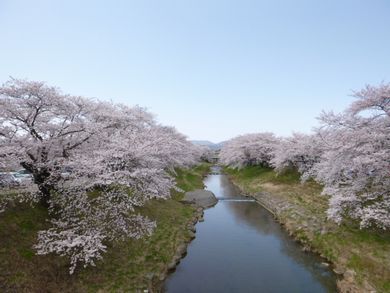 里山日記･･･春欄満