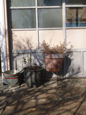 【矢吹町のＳさん】 物置小屋が、まるでcafe