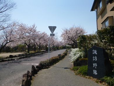 里山日記･･･近所の「梅ロード」で祭り