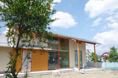 【福島市・Ｋ邸 】 ザクロの花　満開