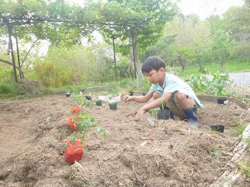 里山日記・・・家庭菜園の季節