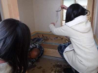 【郡山市安積町・ドミノＳ邸】 完成に向けて、職人総力戦！