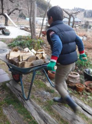 里山日記・・・来年か再来年に向けて「薪づくり」