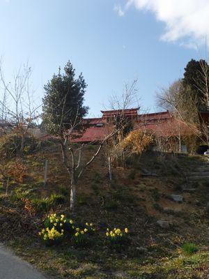 里山日記・・・春爛漫！西田町梅の里まつり