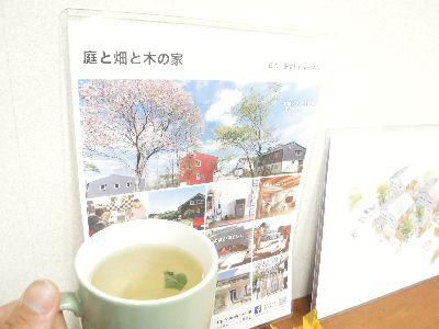 花粉症の季節をハーブで乗り切ろう！