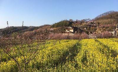 里山日記・・・現場近くのお花スポット