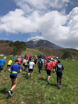 里山日記・・・ゲレンデ逆走マラソン2019(1)