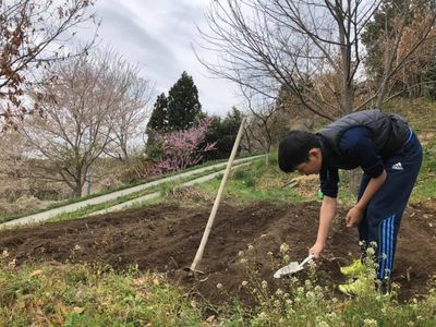 里山日記・・・春撒き野菜