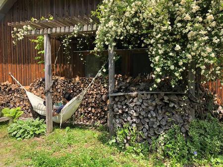 里山日記・・・ハンモックでまったりタイム