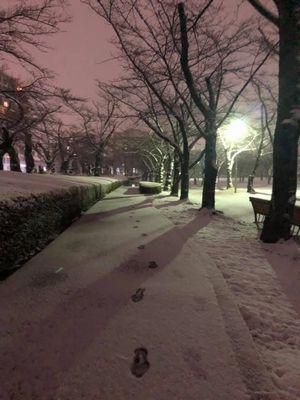 里山日記・・・初雪、ラン♪　ラン♪　ラン♪