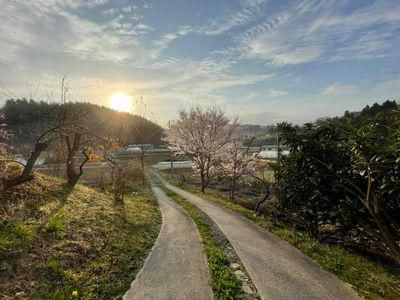 里山日記･･･春の花、新旧交代