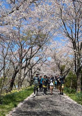 里山日記・・・地元の魅力を伝えた自主企画フルマラソン