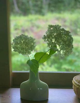 里山日記･･･出勤前に、しばし紫陽花の時間