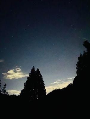 里山日記･･･夜の散歩