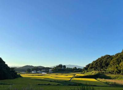 里山日記･･･隠れ里的存在の我が家の裏山