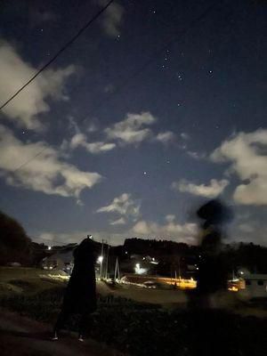 里山日記･･･ふたご座流星群がピークだそうで