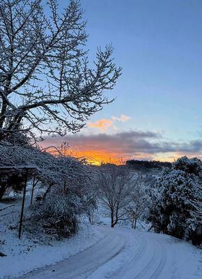 里山日記･･･朝は-9.5℃、昼でも氷点下