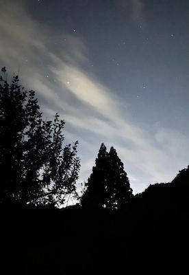 里山日記･･･冬の透き通ったような夜空