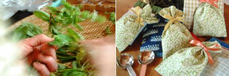 【住まい教室】ハーブのある暮らし第43回「ハーブで防虫･防臭」