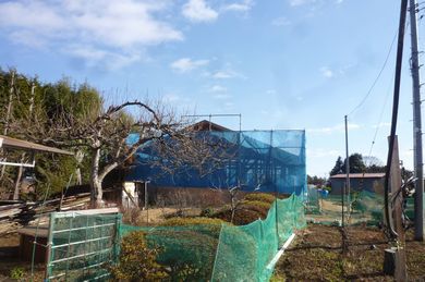 【構造見学会 1/21】 泉崎Ｉさんの家 ＋ 【入居宅見学S邸】