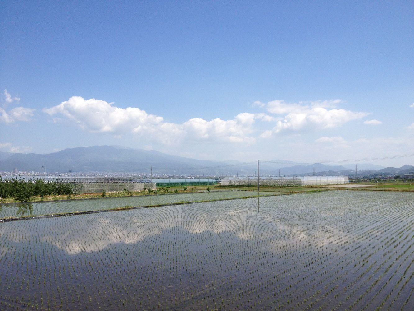 どっちが本当の空だか・・・