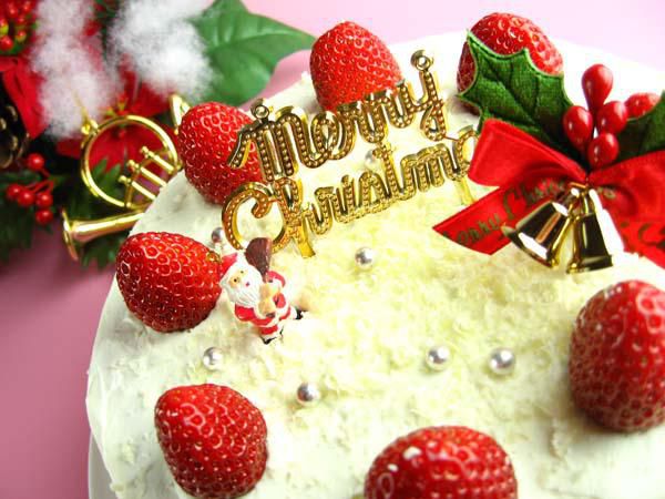 【クリスマスプラン】バイキング、カップル、ファミリー、クリスマスプランいろいろ♪