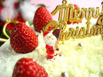 カップル・ファミリークリスマスプランご予約受付中！