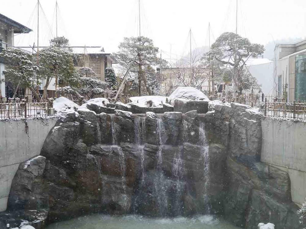 雪が積もりました！！