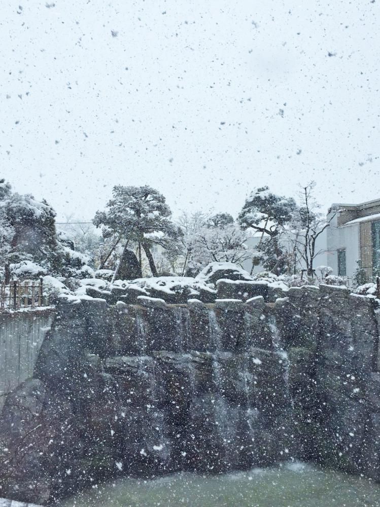 12月11日・天気『雪』