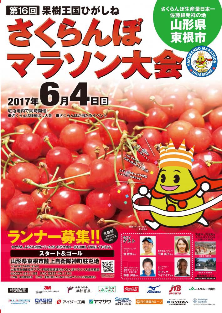 明日はいよいよさくらんぼマラソン！