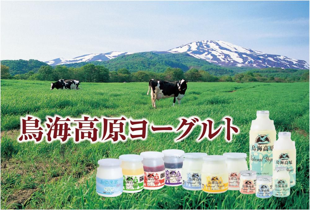 ぐるナイ「ゴチ18」に登場したヨーグルトを朝食でどうぞ♪