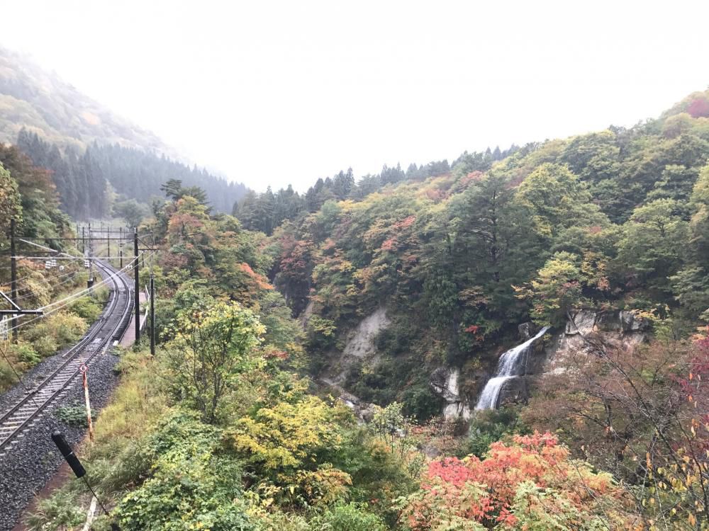 10月20日紅葉情報　～山寺・天童～