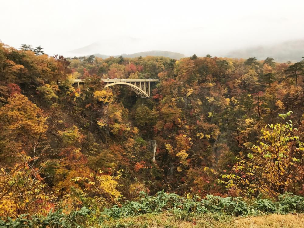 10月30日紅葉情報　～鳴子峡（宮城）～