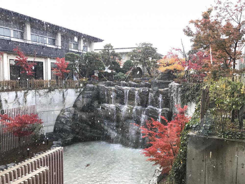 中庭の紅葉と雪