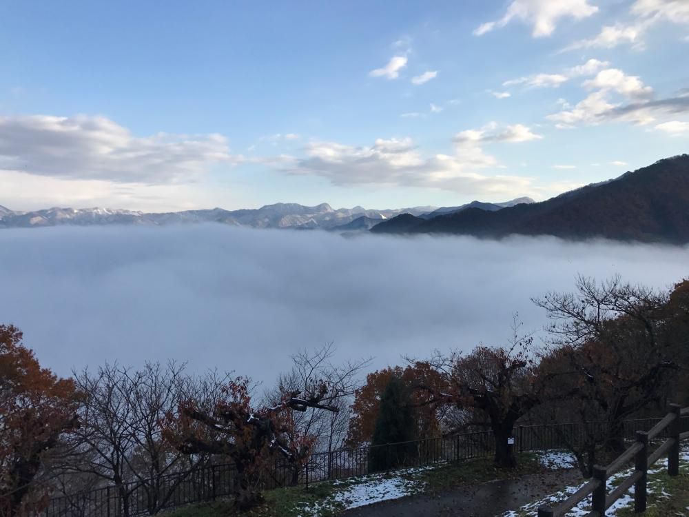 舞鶴山に雲海が現れました