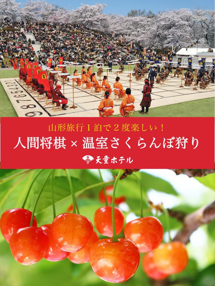 旬のコラボ【人間将棋 × さくらんぼ狩り】プラン