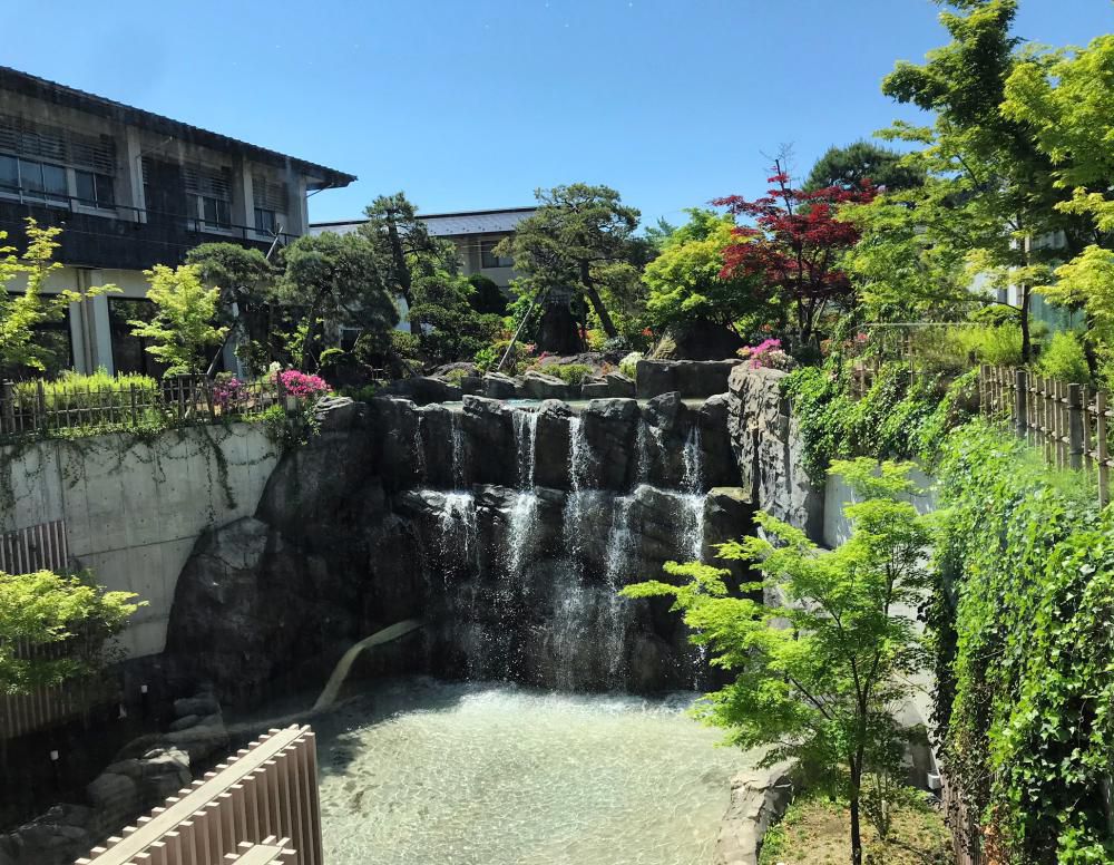 新緑の季節になりました♪